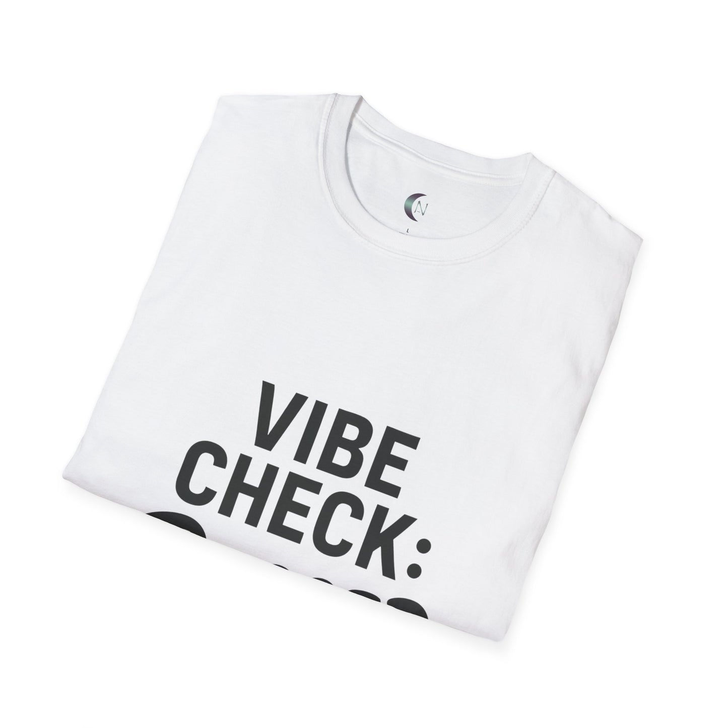 Vibe Check Passed - Unisex Softstyle T-Shirt