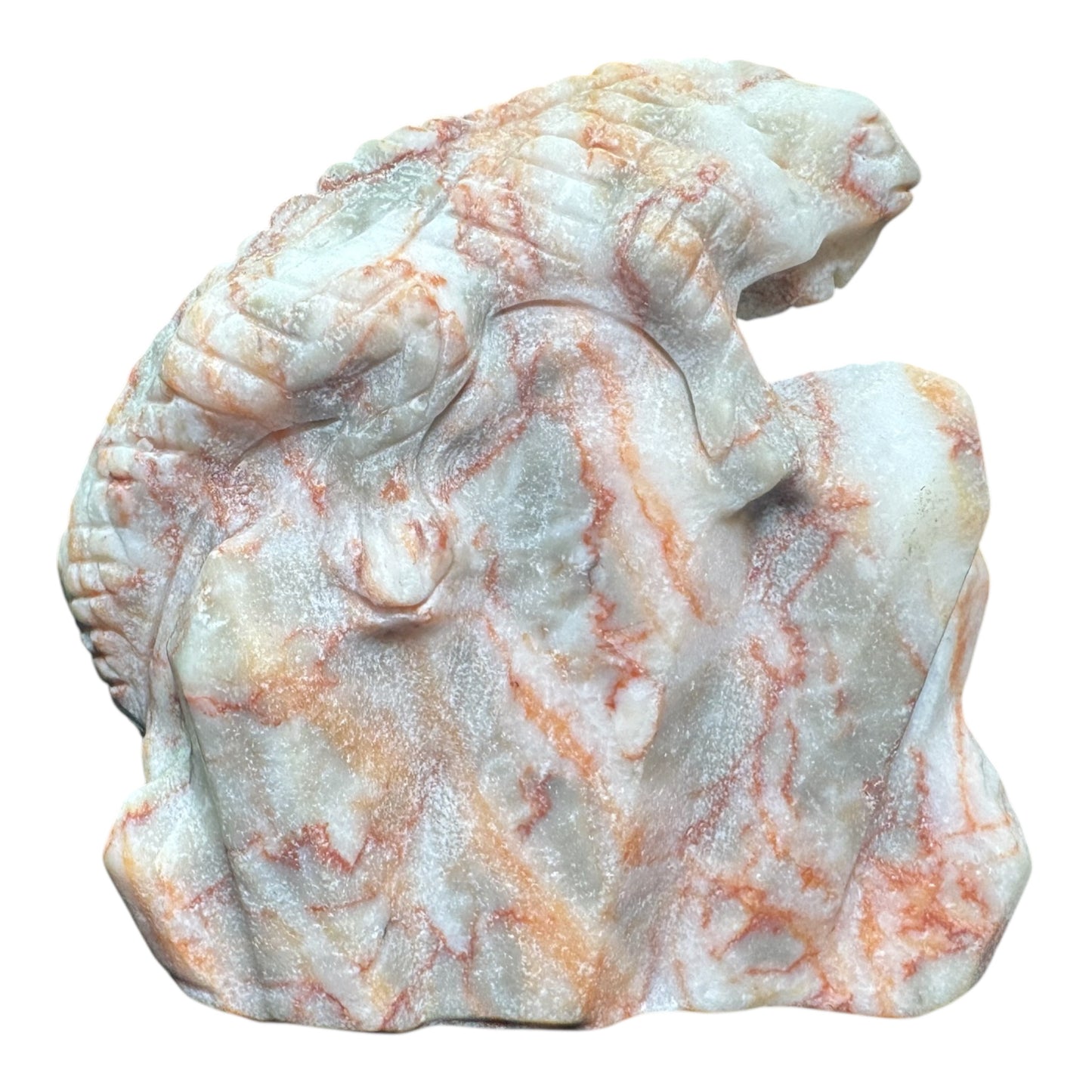 Red Vein Jasper Lizard on Red Vein Jasper Cluster Point