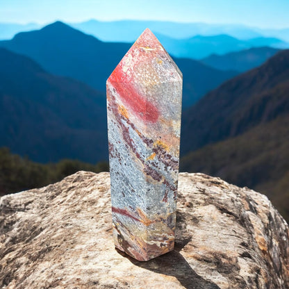 Silicified Wood Point — ~3” Natural Fossil Wood Point (Grounding & Earth Energy)