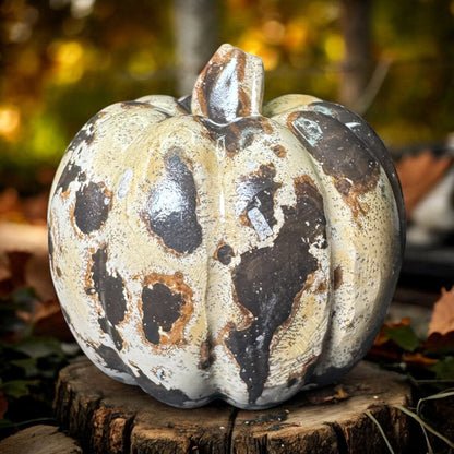 Picture Jasper Pumpkin