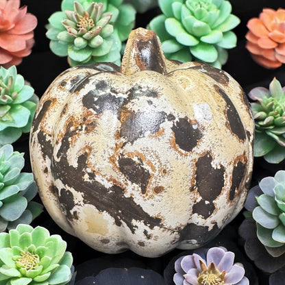 Picture Jasper Pumpkin