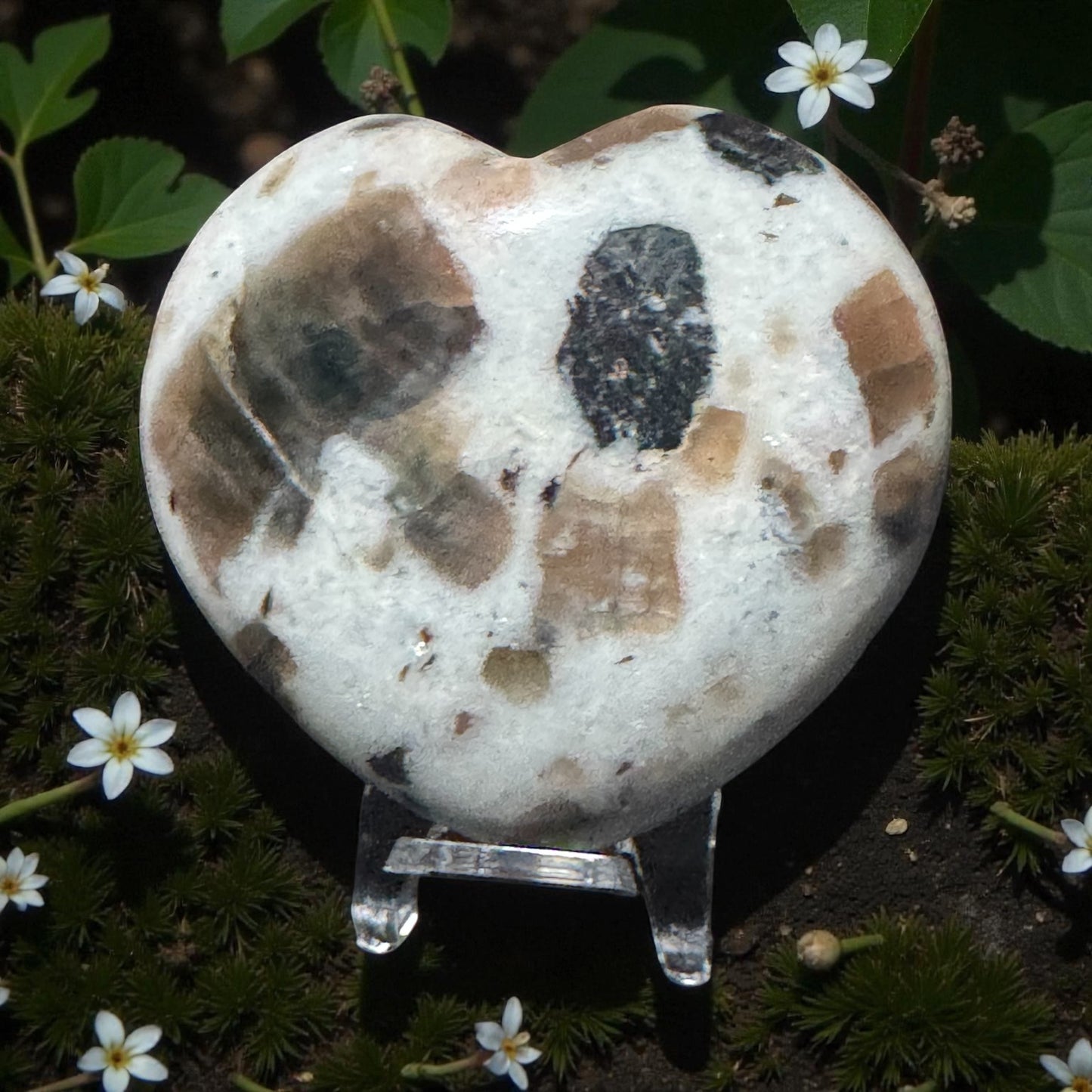 Polarity Moonstone Heart