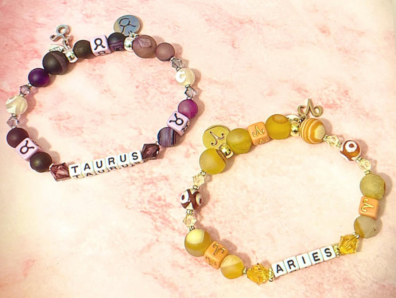 Polished Ammonite Fossil Plate