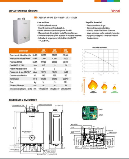Polished Ammonite Fossil Plate